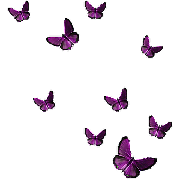 Butterflies Freetoedit Sticker By Nairamatevosyan