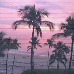 beach sunrise sunset freetoedit