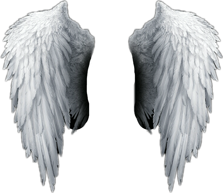 white angel wings weiss engel flügel freetoedit...