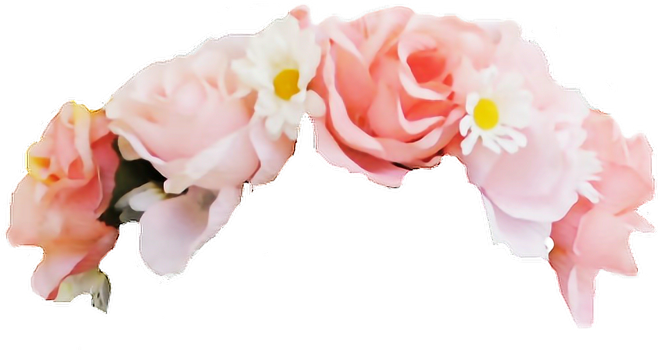 pastel aesthetic flowercrown