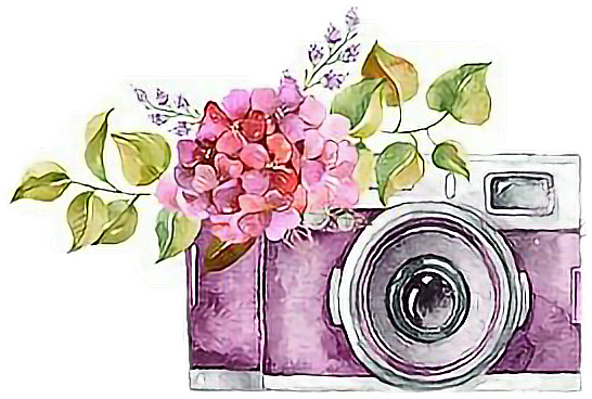 floralcamera camera floral watercolor art...