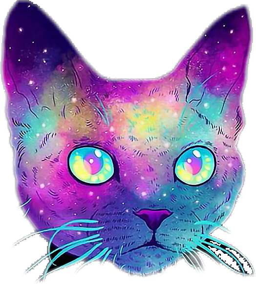 cat galaxia tumblr sticker by stickers tumblr