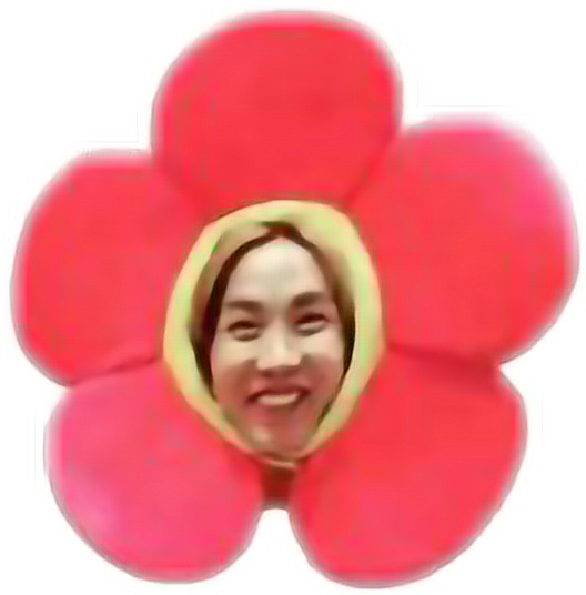 jhope flower plush