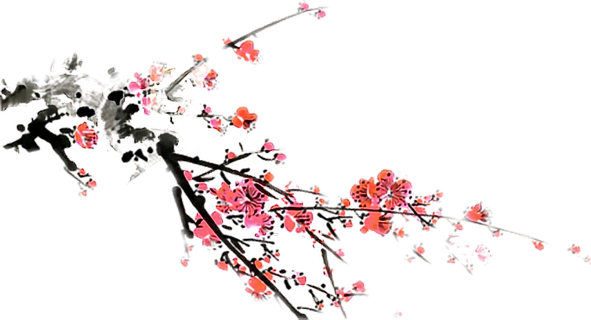 中国风 素材 花卉 梅sticker By 争
