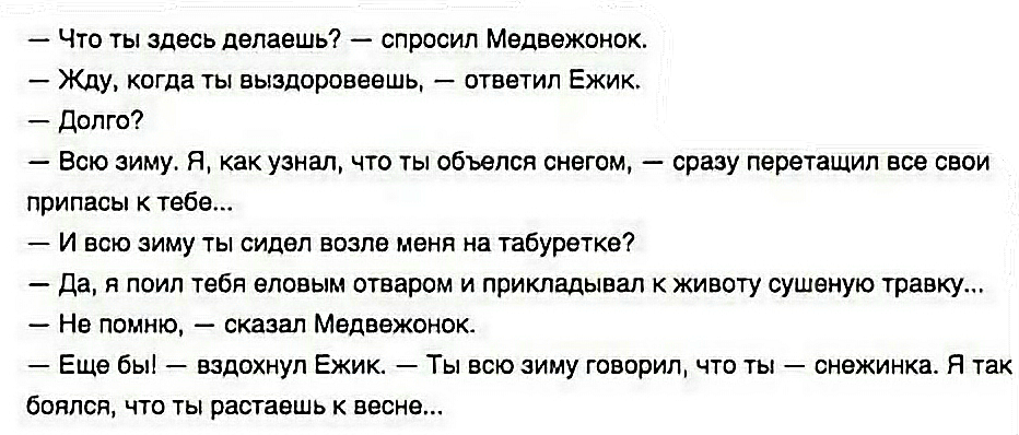 про ёжика и медвежонка. трям здравствуйте 1981. что ты здесь делаешь спросил. медвежонок и ежик цитаты из мультика. что ты здесь делаешь.