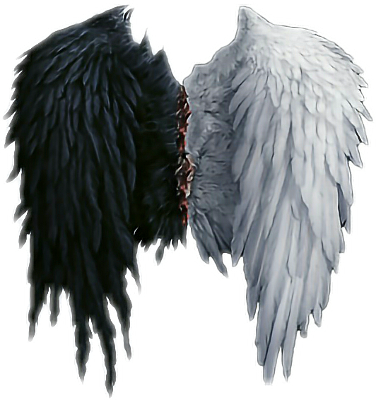 Можно сделать, картинки крылья ангела и демона