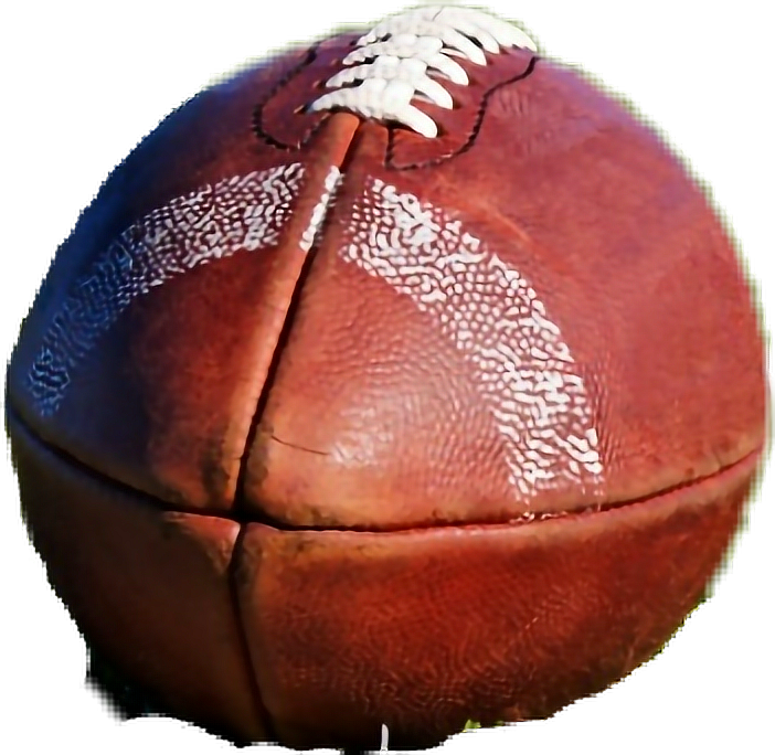 football freetoedit sticker by winstonsalemtarheels