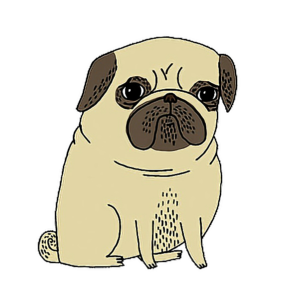 freetoedit pug dog perro anime sticker by @maicolparrales