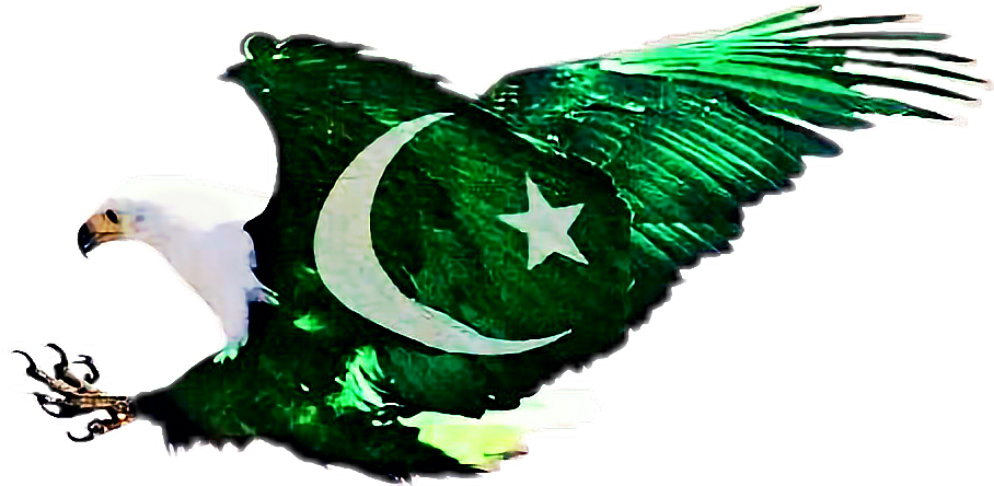 shaheen bird pakistani