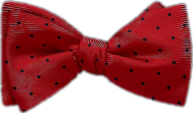 bow freetoedit #bow 270840006019211 by @christinasifford