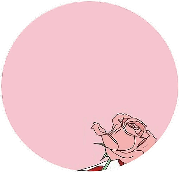 images Aesthetic Pfp Pink Cute aesthetic rose rosepfp sticker by shook