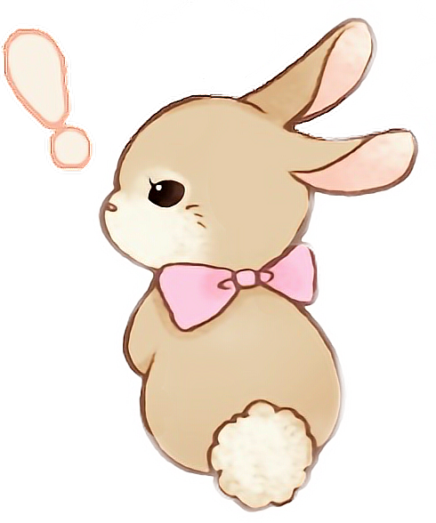 Cute Animated Bunny Pictures