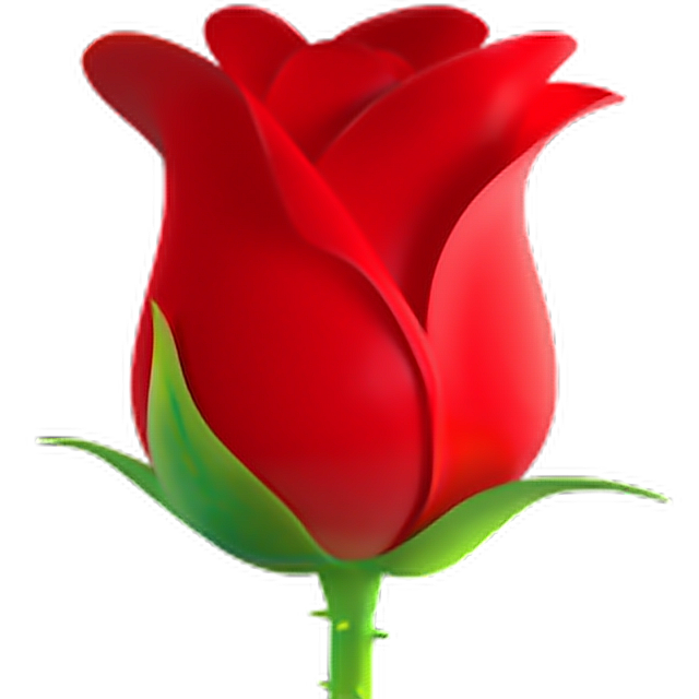  Rose  emoji   flower rose  emoji  emoticon iphone  iphon 