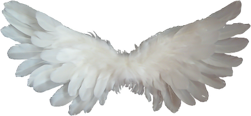 Angel wings