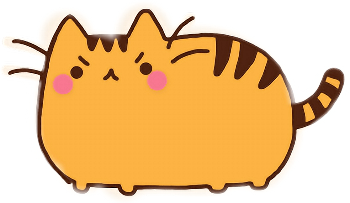 pusheen tiger